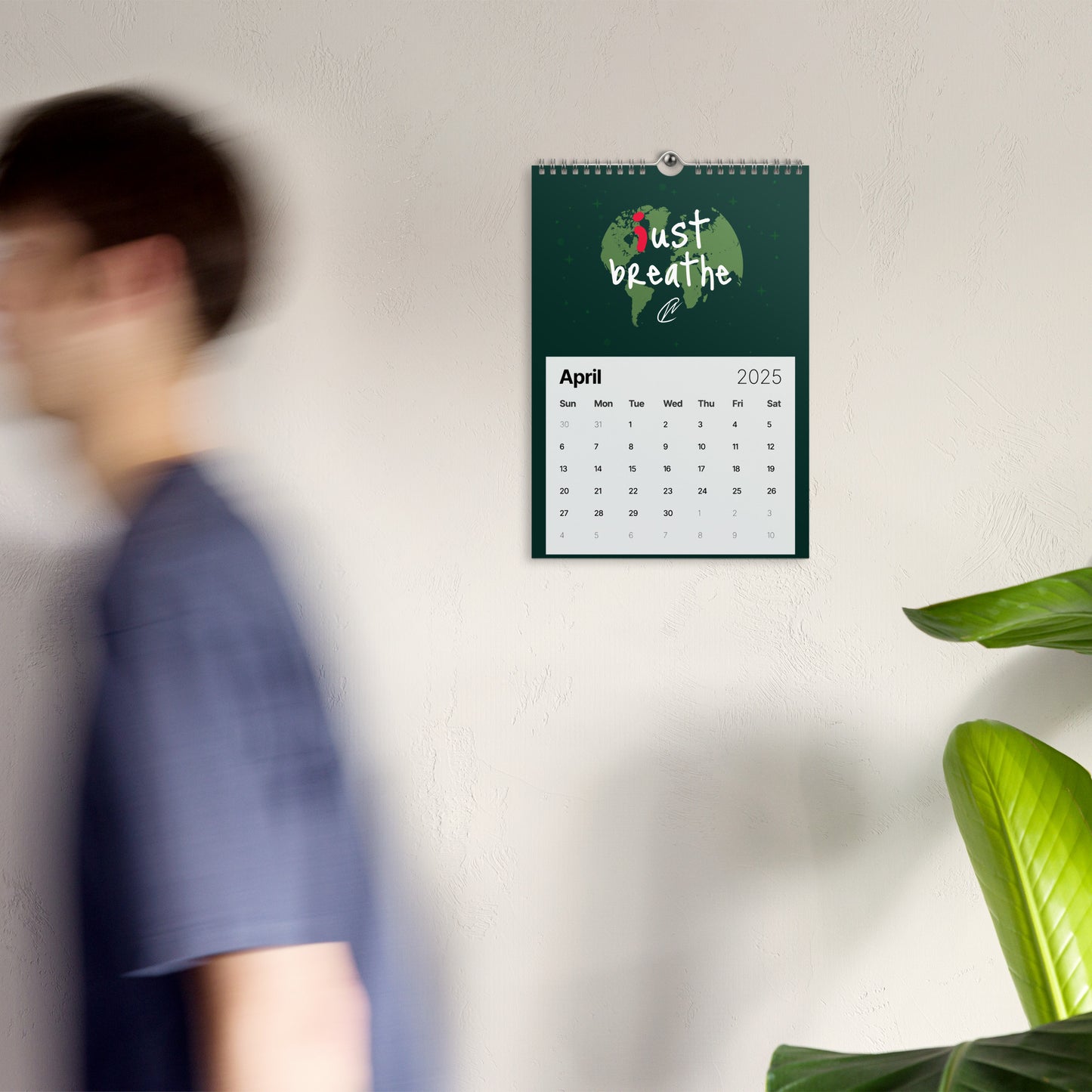 2025 Wall Calendar - Small Version
