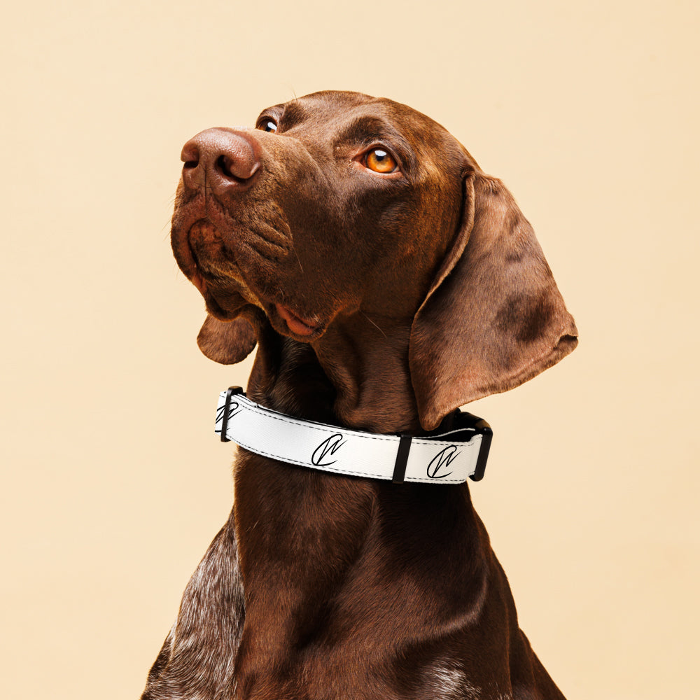 CW - White Pet Collar