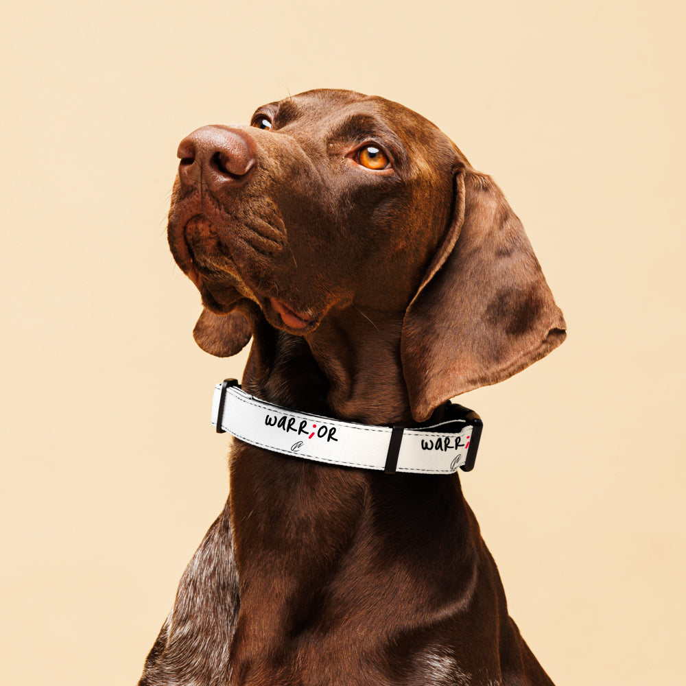 Warrior - White Pet Collar