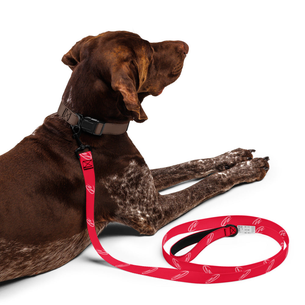 CW - Red Pet Leash